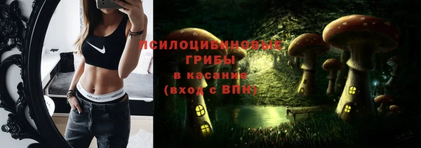 спиды Алексин