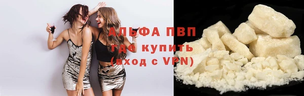 стафф Алзамай