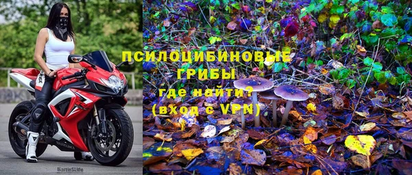 спиды Алексин