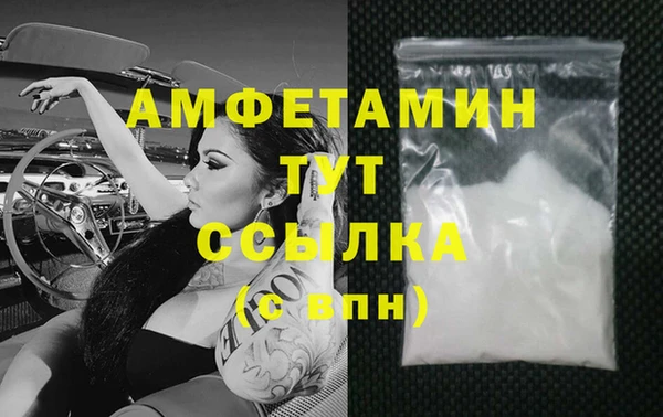 стафф Алзамай
