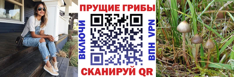 цены наркотик  кракен ССЫЛКА  Галлюциногенные грибы ЛСД  Спасск 